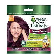 Garnier Color Naturals Express Cream Sachet